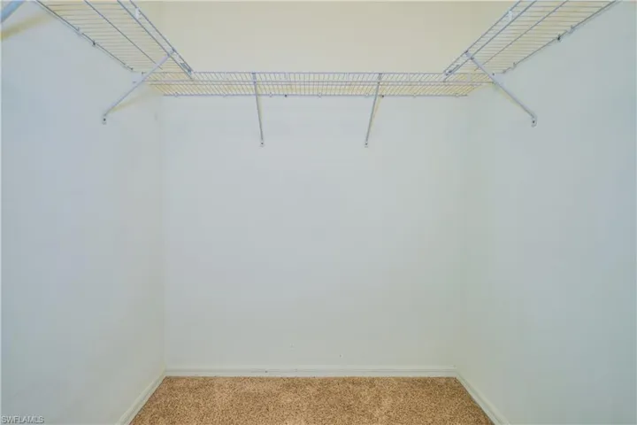 Spacious closet featuring carpet flooring