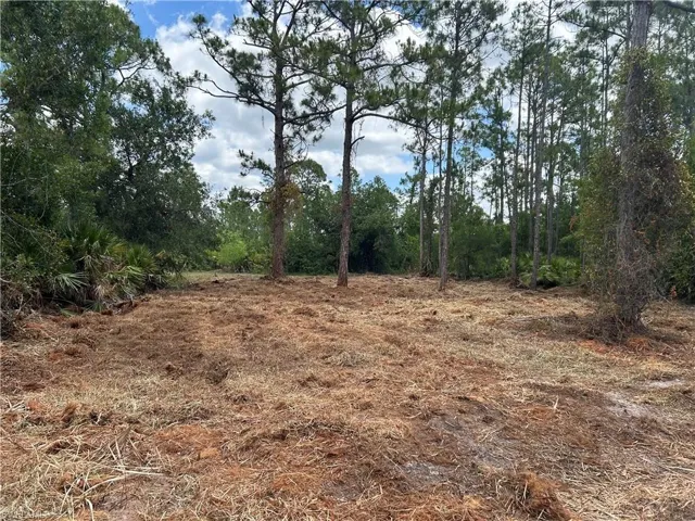 View of undeveloped land