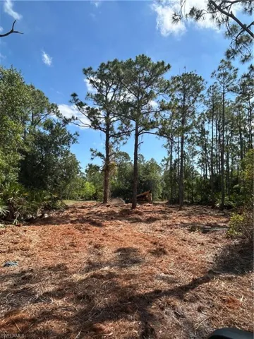 View of nature