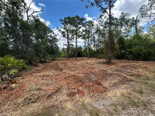 View of undeveloped land