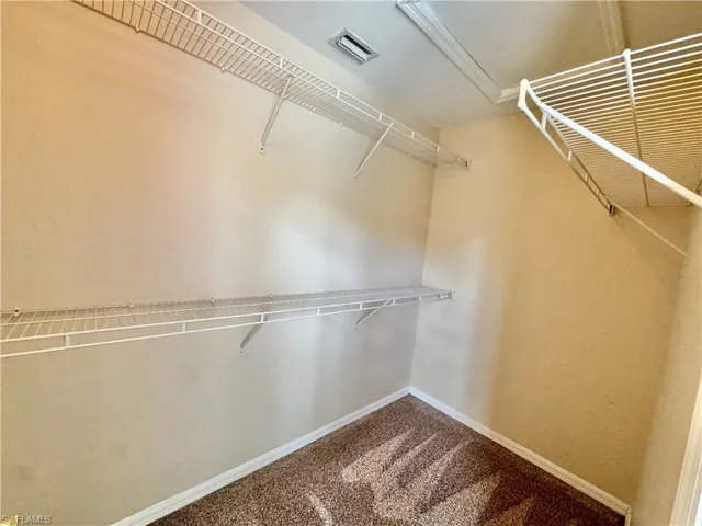 Spacious closet featuring carpet flooring