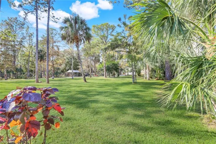 Front yard View