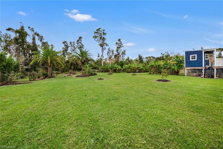 2.5 Acres with Tropical Fruit Trees