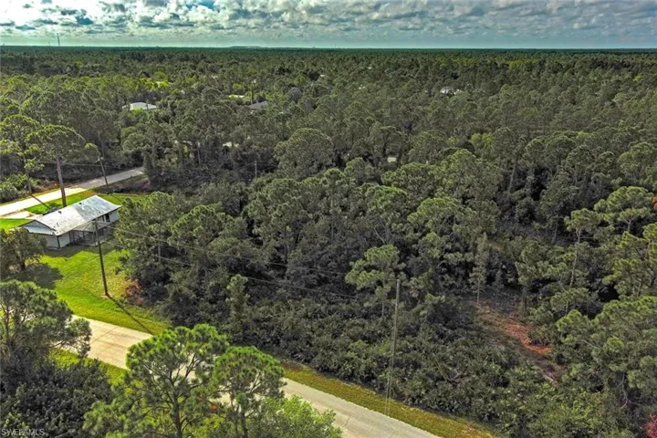 Bird's eye view of a heavily wooded area