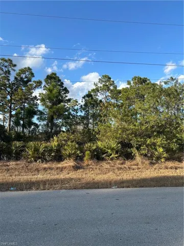 927 Sterling St E, Lehigh Acres, Florida 33974