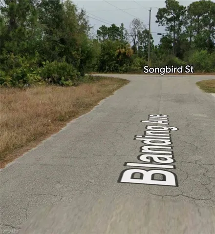 1253 Blanding Ave, Fort Myers, Florida 33913