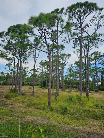 5241 Anchorage DR, ST. JAMES CITY FL 33956