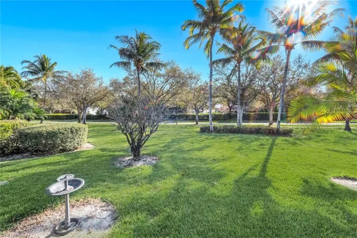 View of grassy yard