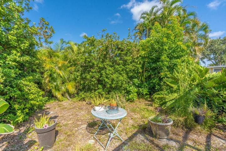 Secluded Back Yard