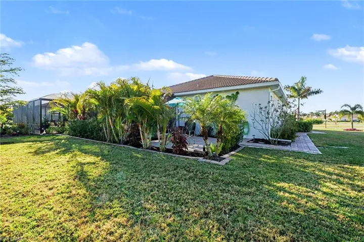Side and back yard