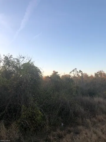 View of nature at dusk