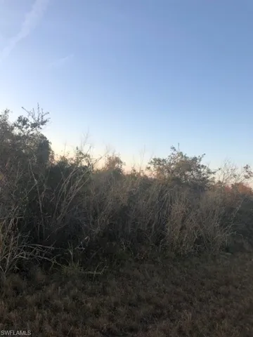 View of nature at dusk