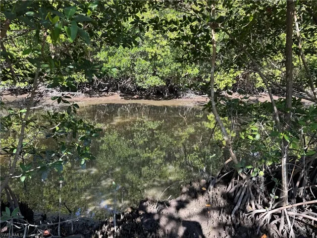 View of local wilderness featuring a water view