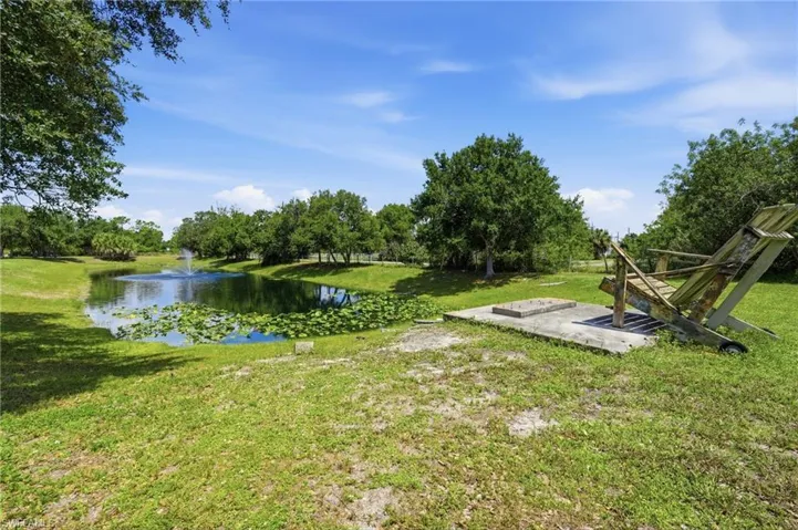 Pond