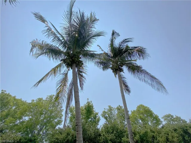 15015  Balmoral  LOOP, Fort Myers, FL 33919