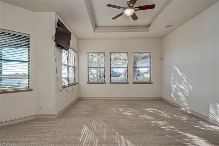 Unfurnished room with ceiling fan, light carpet, plenty of natural light, and a tray ceiling