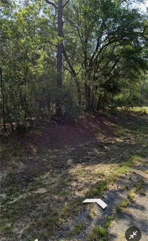 509 E Nemo Dr, Citrus Springs, Florida 34434