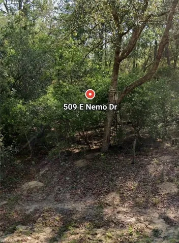 509 E Nemo Dr, Citrus Springs, Florida 34434