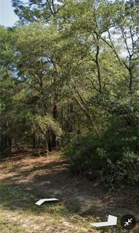 509 E Nemo Dr, Citrus Springs, Florida 34434