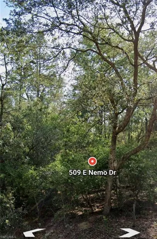 509 E Nemo Dr, Citrus Springs, Florida 34434