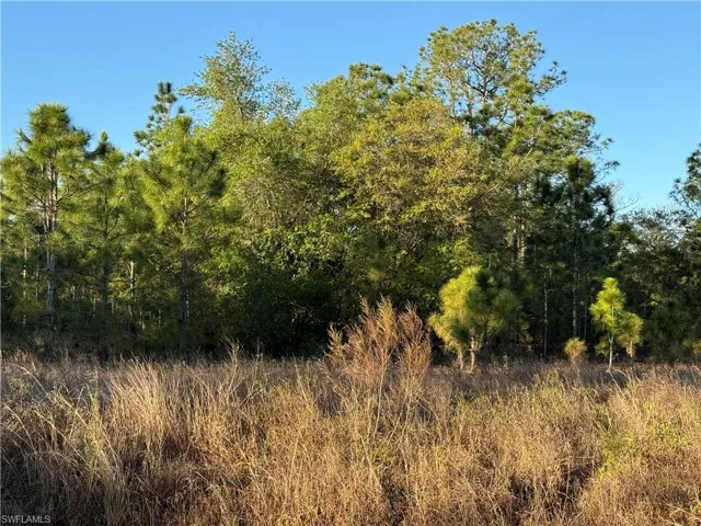 View of landscape featuring a forest view