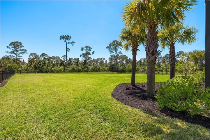 Fenced Backyard