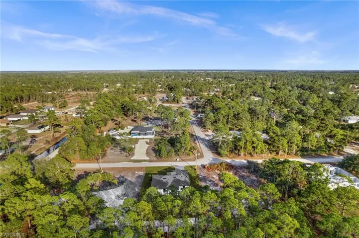 Aerial view of a forest