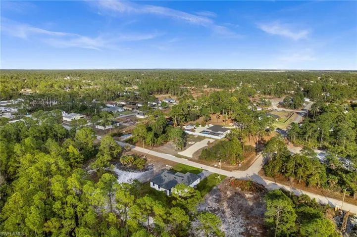 Aerial perspective of suburban area featuring a forest