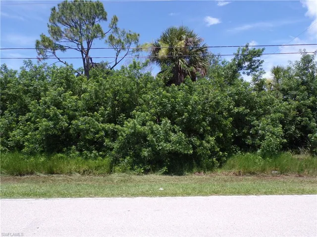 View of undeveloped land