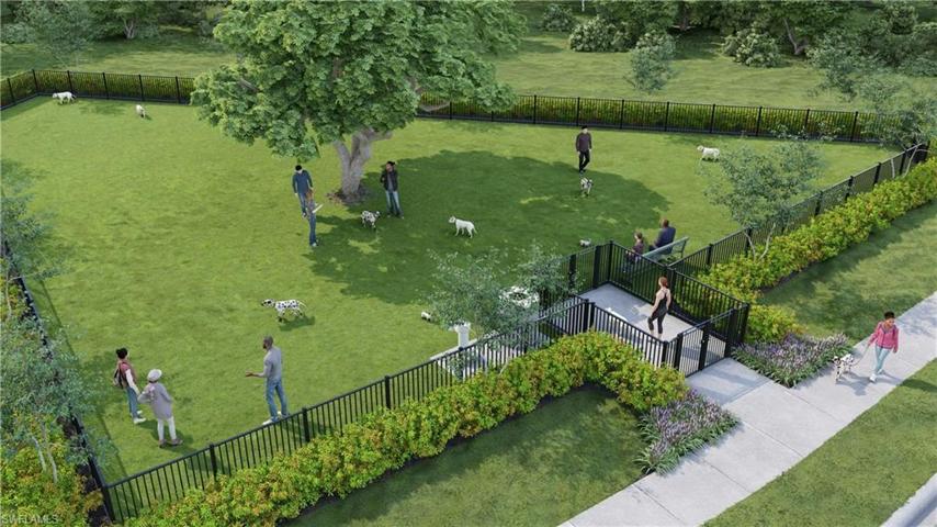 Dog Park
