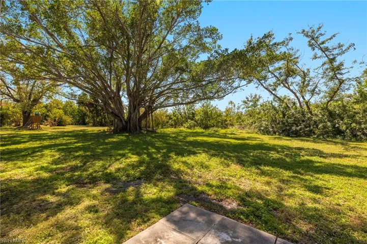 View of grassy yard
