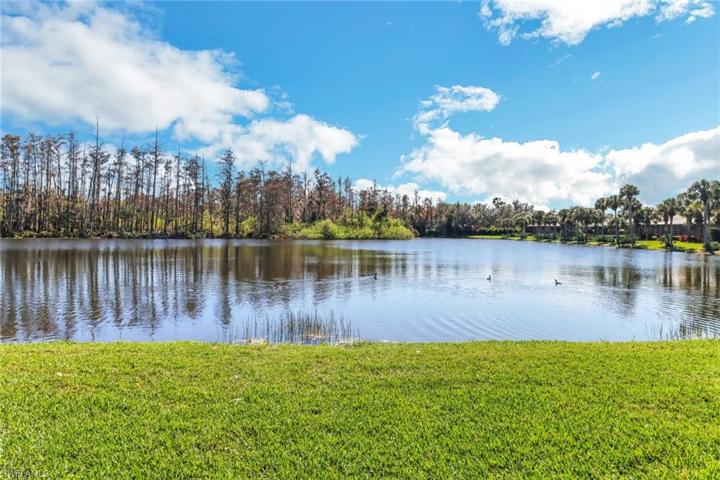 20139  Seadale  CT, Estero, FL 33928