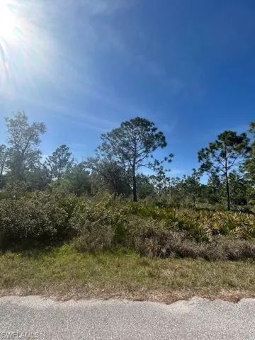 View of nature