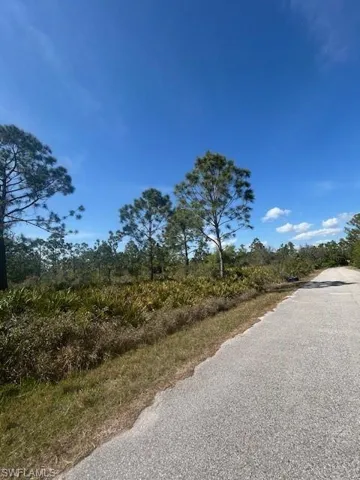 View of road