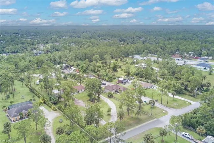 Aerial perspective of suburban area with a forest