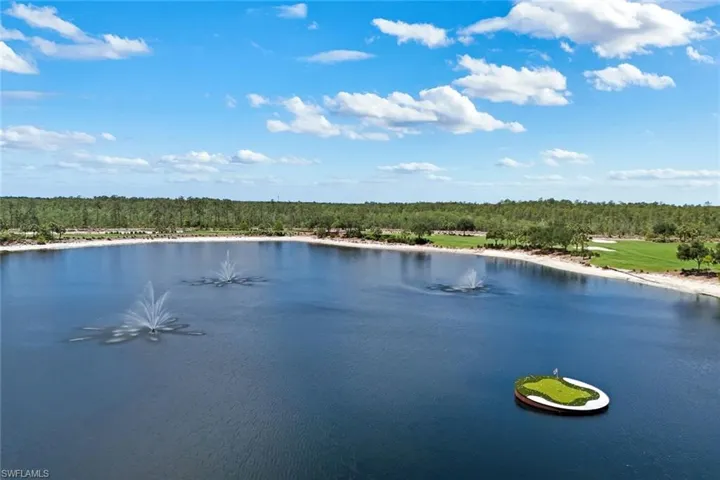 9684  Montelanico  LOOP, Naples, FL 34119