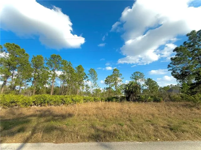 View of local wilderness