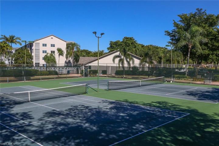Pickle ball and Tennis
