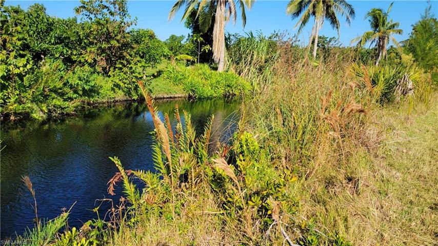 Pond on the property