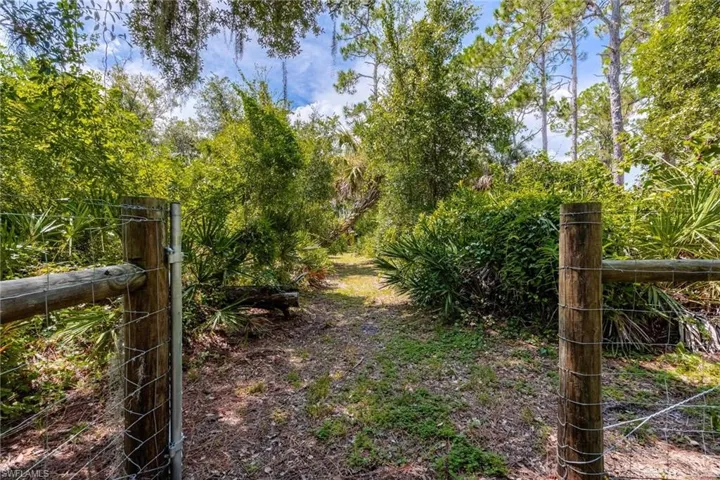 View of gate