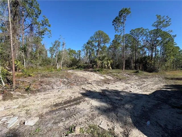 View of undeveloped land