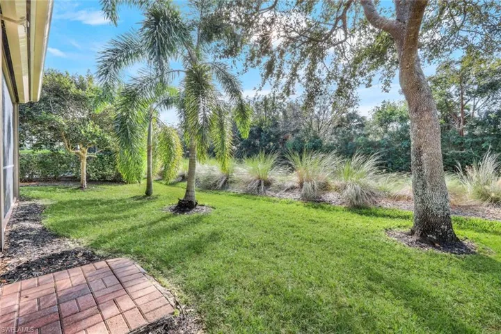 Back yard.