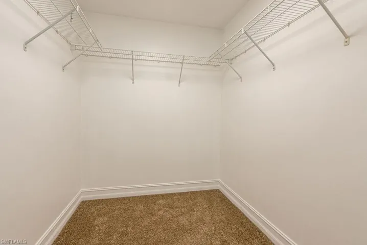 Spacious closet with carpet flooring