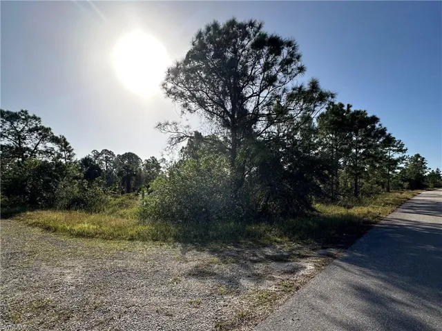View of road