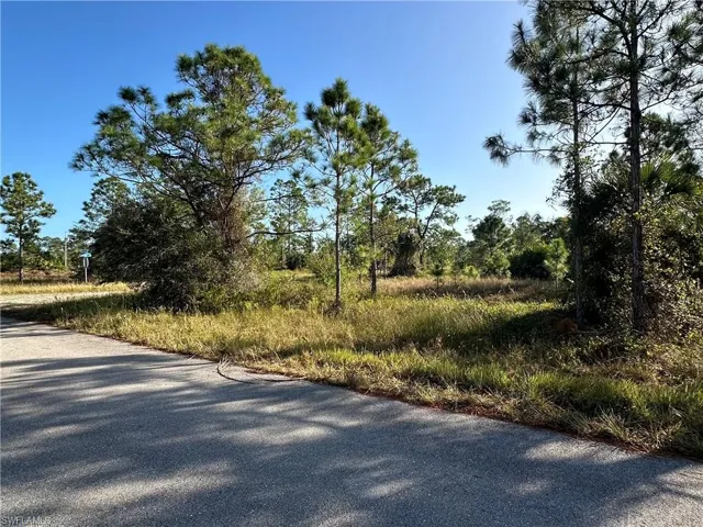 View of street
