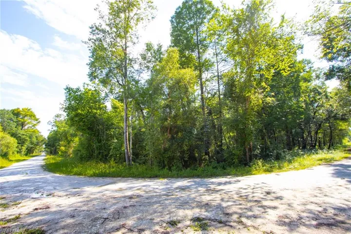 Wooded lot featuring mature trees and established ground cover