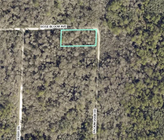 Aerial Survey. Depicting the property's boundaries and surrounding geographical features