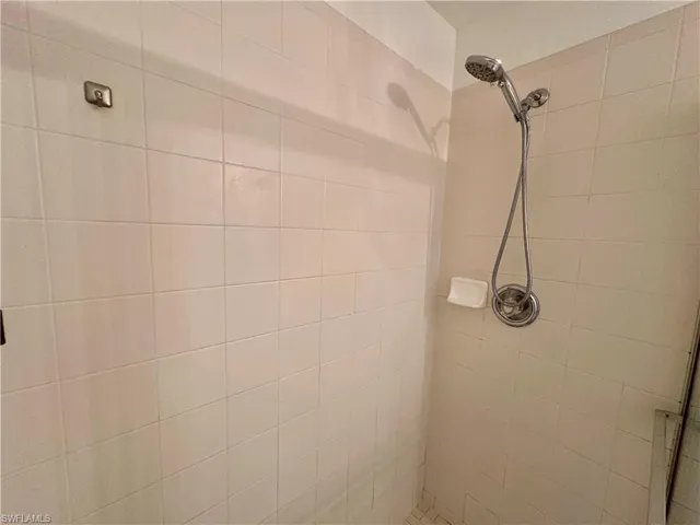 View of Primary Shower
