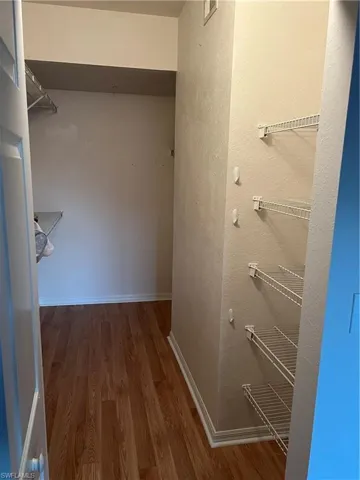 Spacious closet featuring dark wood finished floors