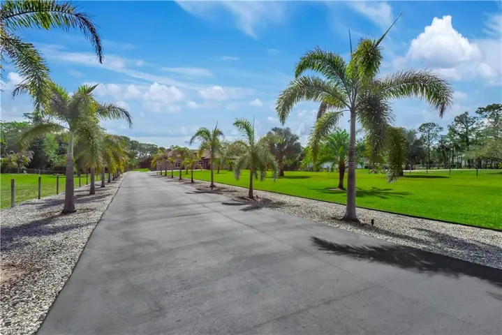 Amazing Landscaping